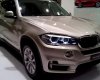 BMW X5 30i 2017 - BMW X5 30i năm 2017, nhập khẩu nguyên chiếc từ Đức - Chương trình ưu đãi lớn dịp Hè