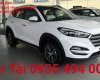 Hyundai Tucson 2017 - Bán Hyundai Tucson đời 2017, nhập khẩu nguyên chiếc
