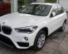 BMW X1 sDrive18i 2016 - Bán xe BMW X1 sDrive18i, màu trắng, nhập khẩu, giá ưu đãi, có xe giao sớm nhất