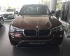 BMW X3 xDrive20i 2016 - Bán xe BMW X3 xDrive20i đời 2016, màu nâu, xe nhập, mới 100%, giao xe sớm nhất