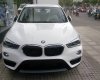 BMW X1 sDrive18i 2016 - Bán xe BMW X1 sDrive18i, màu trắng, nhập khẩu, giá ưu đãi, có xe giao sớm nhất