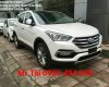 Hyundai Santa Fe 2017 - Bán Hyundai Santa Fe đời 2017, nhập khẩu chính hãng