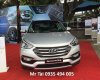 Hyundai Santa Fe 2017 - Bán Hyundai Santa Fe đời 2017, nhập khẩu chính hãng