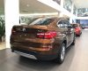 BMW X4 xDrive20i 2017 - Bán xe BMW X4 xDrive20i đời 2017, màu nâu, xe nhập, ưu đãi hấp dẫn, giao xe tại nhà