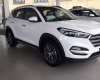 Hyundai Tucson 2017 - Bán xe Hyundai Tucson đời 2017, nhập khẩu chính hãng