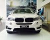 BMW X5 xDrive35i 2017 - Bán xe BMW X5 xDrive35i đời 2017, màu trắng, nhập khẩu, ưu đãi hấp dẫn, có xe giao sớm nhất, nhiều màu