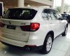 BMW X5 xDrive35i 2017 - Bán xe BMW X5 xDrive35i đời 2017, màu trắng, nhập khẩu, ưu đãi hấp dẫn, có xe giao sớm nhất, nhiều màu