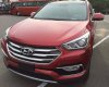 Hyundai Santa Fe 2017 - Bán Hyundai Santa Fe đời 2017, nhập khẩu chính hãng