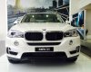 BMW X5 xDrive35i 2017 - Bán xe BMW X5 xDrive35i đời 2017, màu trắng, nhập khẩu, ưu đãi hấp dẫn, có xe giao sớm nhất, nhiều màu