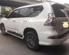 Lexus GX460 2013 - Cần bán xe Lexus GX460 đời 2013, màu trắng, xe nhập chính chủ