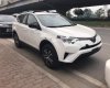 Toyota RAV4 2.5 2017 - Bán Toyota RAV4 2.5 đời 2017, màu trắng, xe nhập