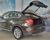 BMW X6 xDrive 35i Sport Line 2016 - Cần bán BMW X6 xDrive 35i Sport Line đời 2016, màu nâu, nhập khẩu 