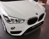 BMW X1 sDrive18i 2017 - Bán xe BMW X1 sDrive18i 2017, màu trắng, nhập khẩu chính hãng