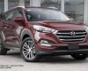 Hyundai Tucson 2017 - Bán ô tô Hyundai Tucson đời 2017, xe nhập