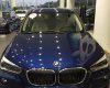 BMW X1 sDrive18i 2017 - Bán ô tô BMW X1 sDrive18i đời 2017, màu xanh lam, xe nhập. Có xe giao ngay, giá rẻ nhất tại Nghệ An