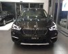 BMW X1 sDrive18i 2017 - Bán ô tô BMW X1 sDrive18i 2017, màu nâu, xe nhập