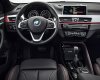 BMW X1 sDrive18i 2017 - Bán ô tô BMW X1 sDrive18i 2017, màu nâu, xe nhập