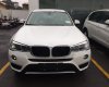 BMW X3 xDrive20i 2017 - Bán BMW X3 xDrive20i đời 2017, màu trắng, nhập khẩu