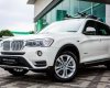 BMW X3 xDrive20i 2017 - Cần bán BMW X3 xDrive20i đời 2017, màu trắng, nhập khẩu chính hãng