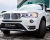 BMW X3 xDrive20i 2017 - Cần bán BMW X3 xDrive20i đời 2017, màu trắng, nhập khẩu chính hãng