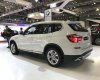 BMW X3 xDrive20i 2017 - Bán xe BMW X3 xDrive20i 2017, màu trắng, nhập khẩu