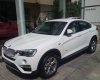 BMW X4 xDrive20i 2017 - Cần bán xe BMW X4 xDrive20i đời 2017, màu trắng, xe nhập