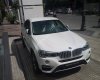 BMW X4 xDrive20i 2017 - Cần bán xe BMW X4 xDrive20i đời 2017, màu trắng, xe nhập