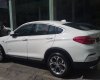 BMW X4 xDrive20i 2017 - Cần bán xe BMW X4 xDrive20i đời 2017, màu trắng, xe nhập