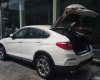 BMW X4 xDrive20i 2017 - Cần bán xe BMW X4 xDrive20i đời 2017, màu trắng, xe nhập