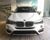 BMW X4 xDrive20i 2017 - Bán BMW X4 xDrive20i đời 2017, màu trắng, nhập khẩu