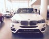 BMW X4 xDrive20i 2017 - Bán xe BMW X4 xDrive20i đời 2017, màu trắng, nhập khẩu nguyên chiếc