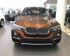 BMW X4 xDrive20i 2017 - Bán BMW X4 xDrive20i năm 2017 thế hệ mới nhất, màu nâu, nhập khẩu chính hãng