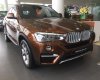 BMW X4 xDrive20i 2017 - Cần bán xe BMW X4 xDrive20i đời 2017, màu nâu, xe nhập