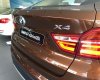BMW X4 xDrive20i 2017 - Bán ô tô BMW X4 xDrive20i đời 2017, màu nâu, nhập khẩu
