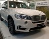 BMW X5 xDrive35i 2017 - Cần bán BMW X5 xDrive35i đời 2017, màu trắng, nhập khẩu