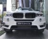 BMW X5 xDrive35i 2017 - Bán xe BMW X5 xDrive35i đời 2017, màu trắng, nhập khẩu nguyên chiếc