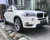 BMW X5 xDrive35i 2017 - Bán xe BMW X5 xDrive35i đời 2017, màu trắng, nhập khẩu nguyên chiếc