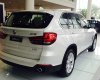 BMW X5 xDrive35i 2017 - Cần bán BMW X5 xDrive35i đời 2017, màu trắng, nhập khẩu