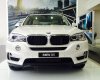 BMW X5 xDrive35i 2017 - Cần bán BMW X5 xDrive35i đời 2017, màu trắng, nhập khẩu