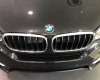 BMW X5 xDrive35i 2017 - Bán xe BMW X5 xDrive35i đời 2017, màu đen, nhập khẩu chính hãng