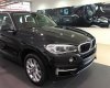 BMW X5 xDrive35i 2017 - Bán xe BMW X5 xDrive35i đời 2017, màu đen, nhập khẩu chính hãng