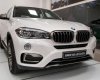 BMW X6 xDrive35i 2017 - Cần bán xe BMW X6 xDrive35i đời 2017, màu trắng, xe nhập