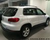 Volkswagen Tiguan 2016 - Volkswagen Tiguan - SUV cỡ trung cho đô thị năng động - Lái thử xe - LH 0933689294