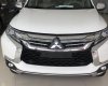 Mitsubishi Pajero Sport 2017 - Bán ô tô Mitsubishi Pajero Sport tại Đà Nẵng, màu trắng, xe nhập nguyên chiếc, giao xe nhanh, LH Quang 0905596067