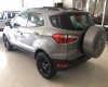 Ford EcoSport Titanium 1.5P AT 2017 - Bán Ford EcoSport Titanium 1.5P AT đời 2017, màu bạc - giá tốt nhất - giao xe tận nhà - hỗ trợ vay 75% giá trị xe