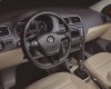 Volkswagen Polo 2017 - Cần bán Volkswagen Polo đời 2017, màu đen, nhập khẩu nguyên chiếc, 690 triệu