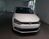 Volkswagen Polo   2017 - Bán xe Volkswagen Polo đời 2017, nhập khẩu, 695 triệu