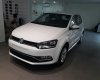 Volkswagen Polo   2017 - Bán xe Volkswagen Polo đời 2017, nhập khẩu, 695 triệu