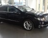 Volkswagen Passat CC 2013 - Volkswagen Passat CC - Sedan nhập khẩu chính hãng - Mua xe vui lòng liên hệ Quang Long 0933689294