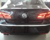 Volkswagen Passat CC 2013 - Volkswagen Passat CC - Sedan nhập khẩu chính hãng - Mua xe vui lòng liên hệ Quang Long 0933689294